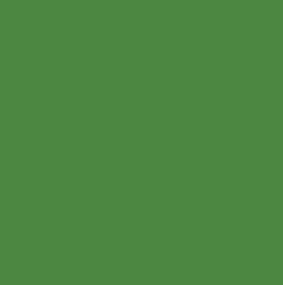 Kg ⚜  
10219-253 ⚜  
A7 ⚜  
PANTONE: Online lime-Green ⚜  
bird eye mesh ,100 % polyester, online lime green