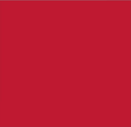 Kg ⚜  
11369-18 ⚜  
A3 ⚜  
PANTONE: True Red ⚜  
mesh fabric, 85 % nylon and 15 % elastane, 1# P:True Red