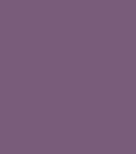 Meter ⚜  
11372-125 ⚜  
A1 ⚜  
PANTONE: Wave Plum Purple ⚜  
75 % nylon 25 % spandex, 230gsm 160cm 1kg=2.5m (4991)4# P:Wave Plum Purple