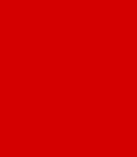 Kg ⚜  
10219-18 ⚜  
A7 ⚜  
PANTONE: Fiery Red ⚜  
bird eye mesh ,100 % polyester, P:Fiery Red