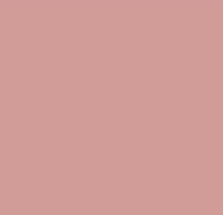 Kg ⚜  
11369-109 ⚜  
A3 ⚜  
PANTONE: Rose Tan-Pink ⚜  
mesh fabric, 85 % nylon and 15 % elastane, 4# P:Rose Tan-Pink